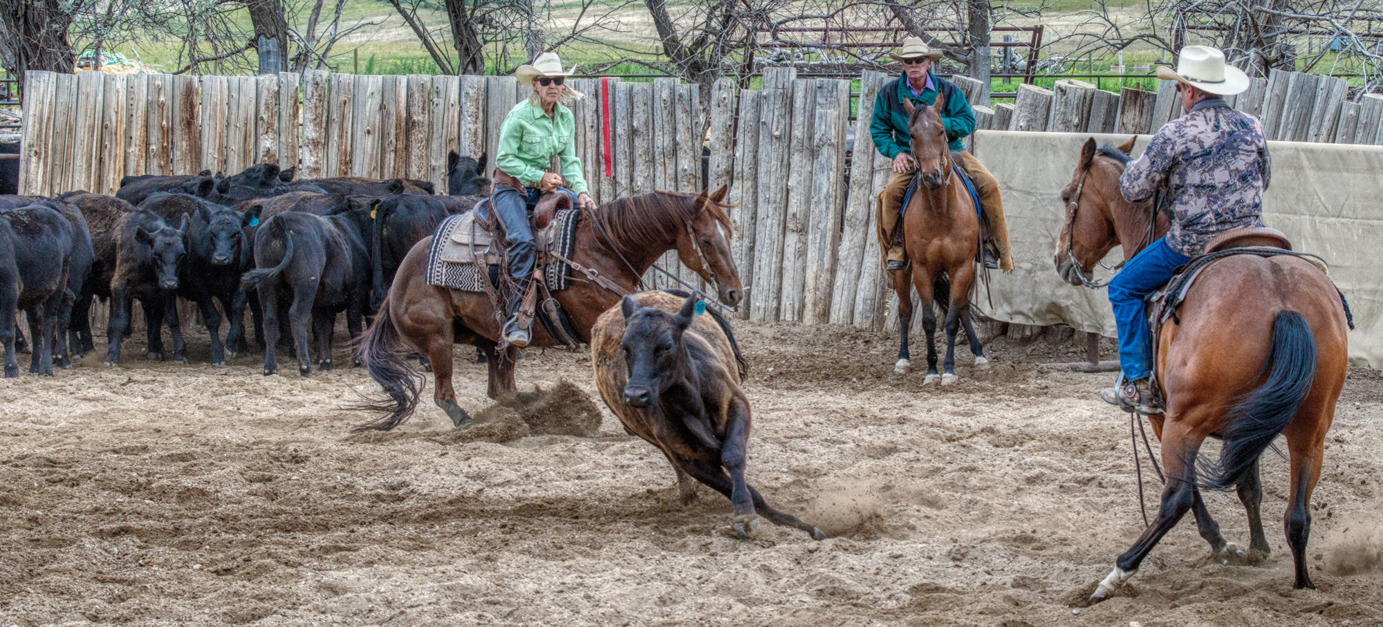 2018 Cutting Horse competition at Banner Ranch
